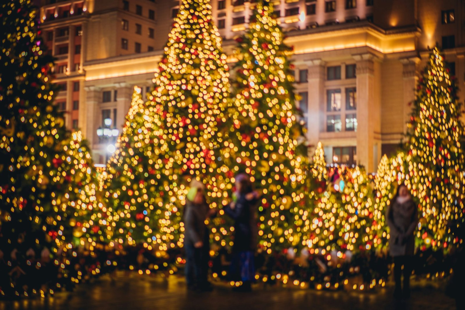 Christmas lights and decor and christmas tree