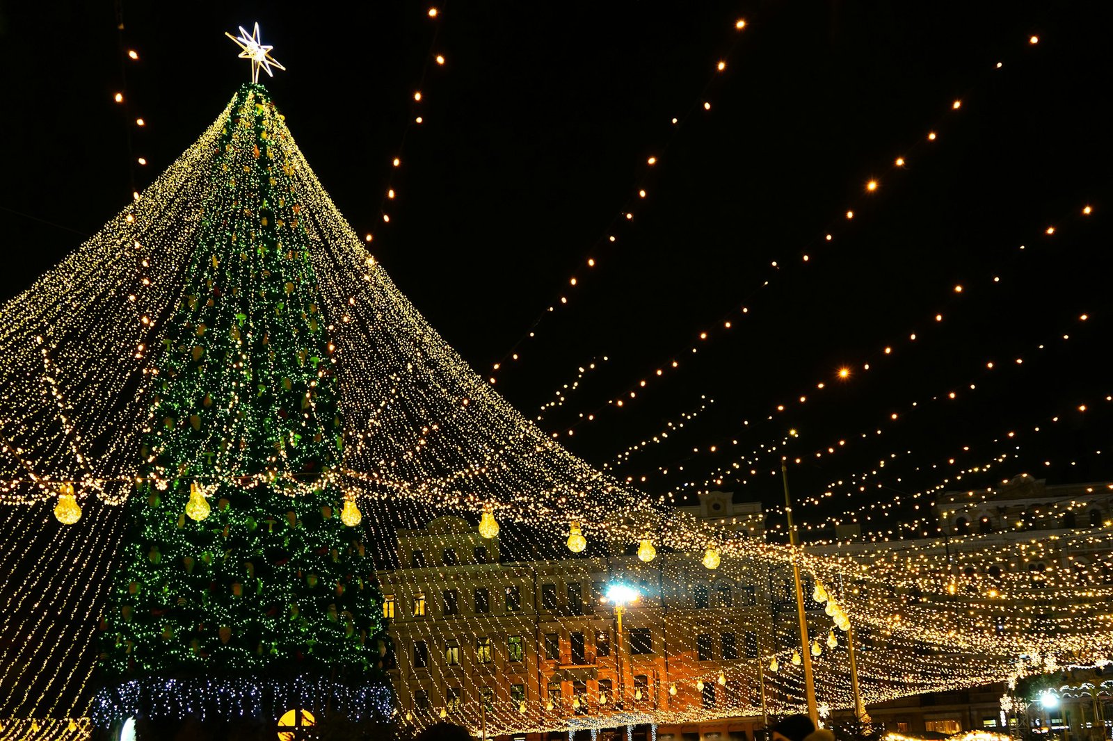 Christmas Tree Glows On The Square In The City. Evening, Night Illumination