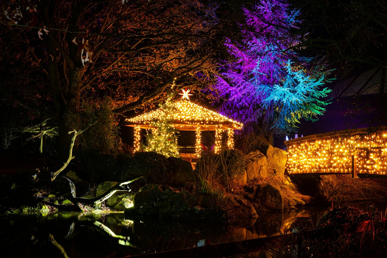 Garden with Christmas lights and a gazebo