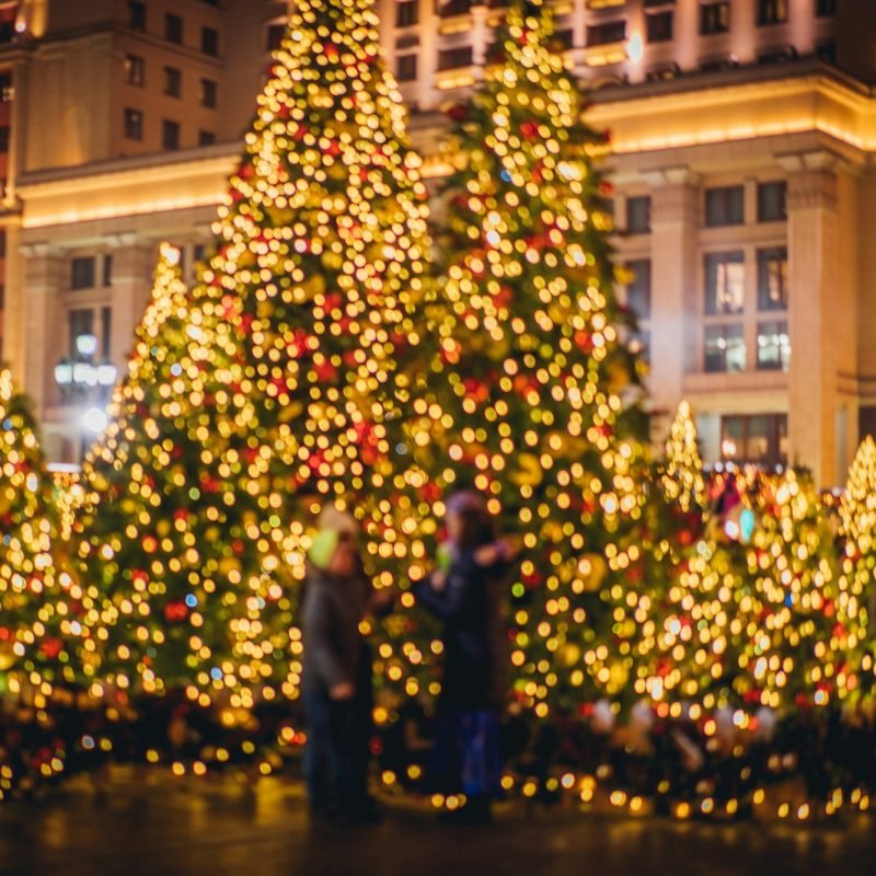 Christmas lights and decor and christmas tree